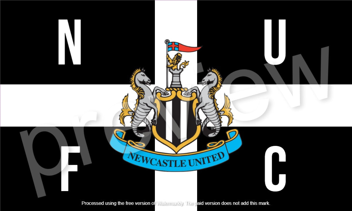 10x NUFC flag