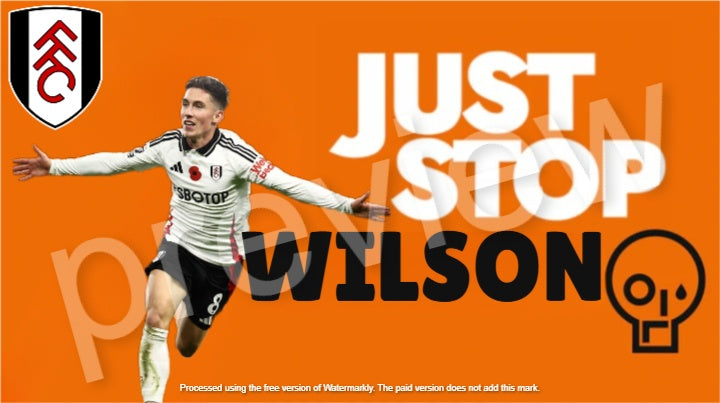 10x just stop wilson