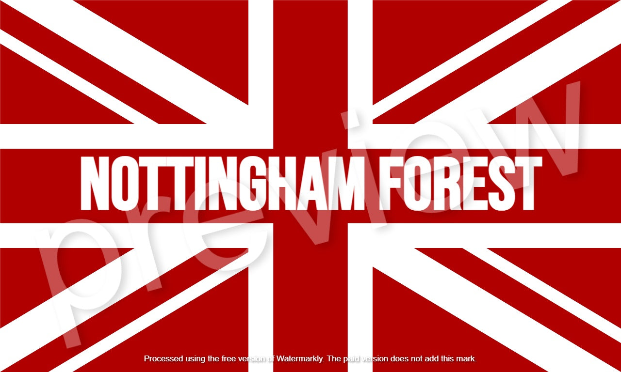 10x Nottingham forest flag