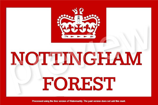 10x Nottingham forest weekend offender